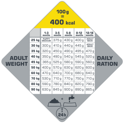πίνακας με τις συνιστώμενες δοσολογίες για το Opti Life Puppy Maxi